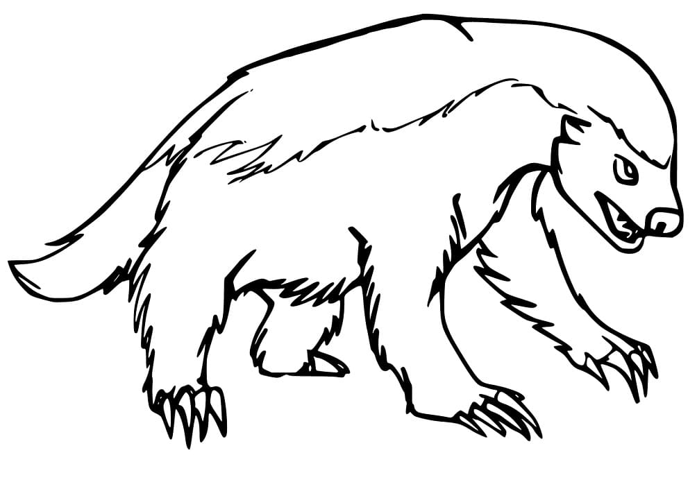 A Wild Badger Coloring Page