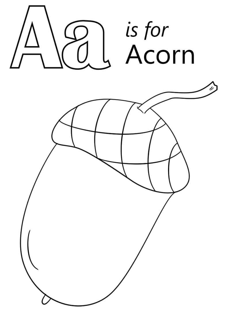 Acorn Letter A