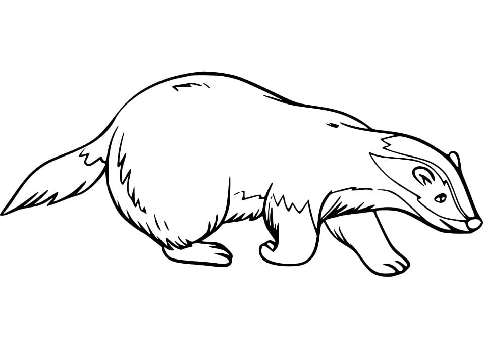 Adorable Badger Coloring Page