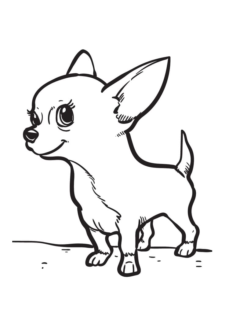 Adorable Chihuahua Dog Coloring Page