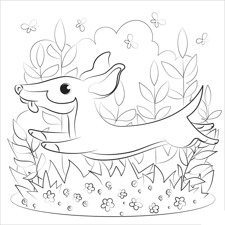 Adorable Dachshund Coloring Page