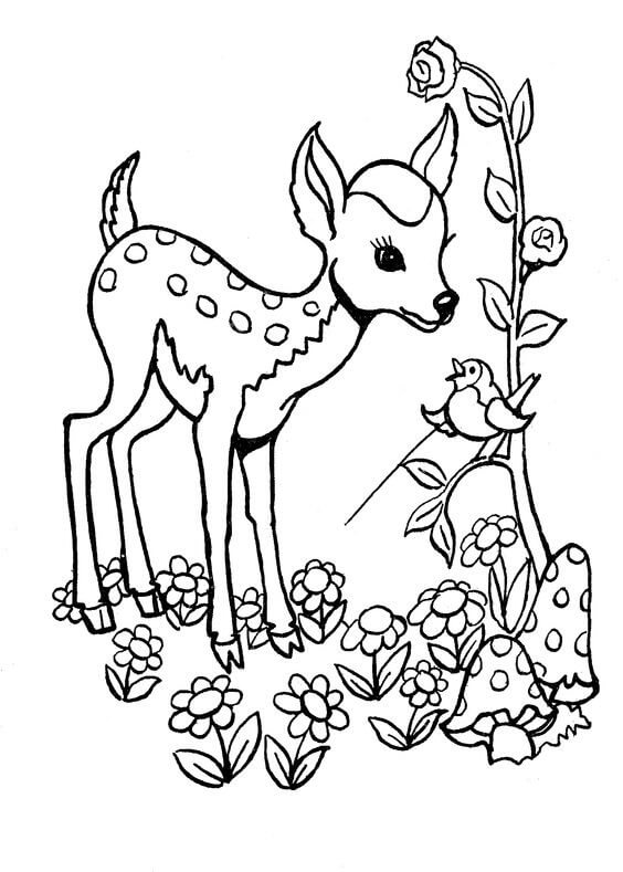 Adorable Deer Coloring Page