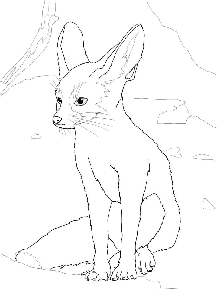 Adorable Fennec Fox Coloring Page