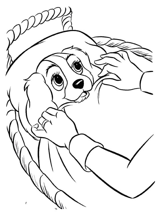Adorable Lady Coloring Page