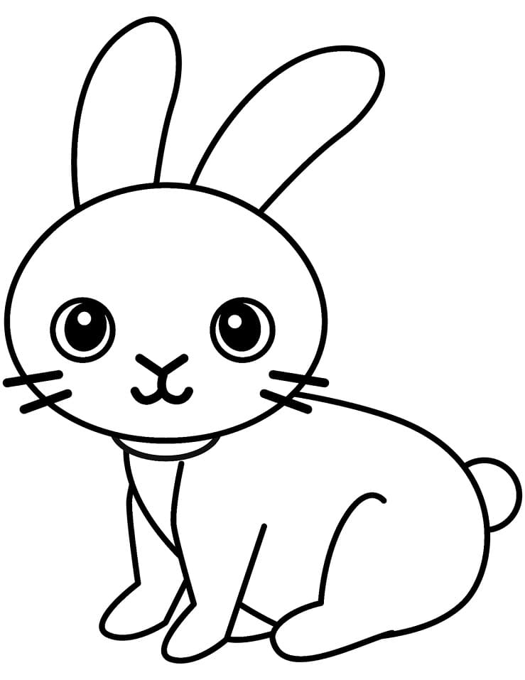 Adorable Little Rabbit