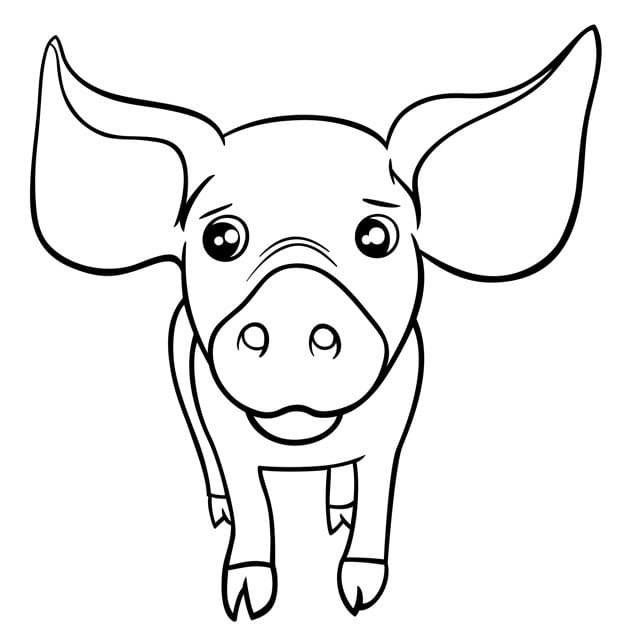 Adorable Pig