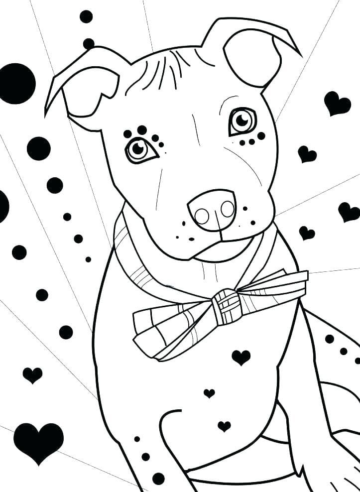 Adorable Pitbull Coloring Page