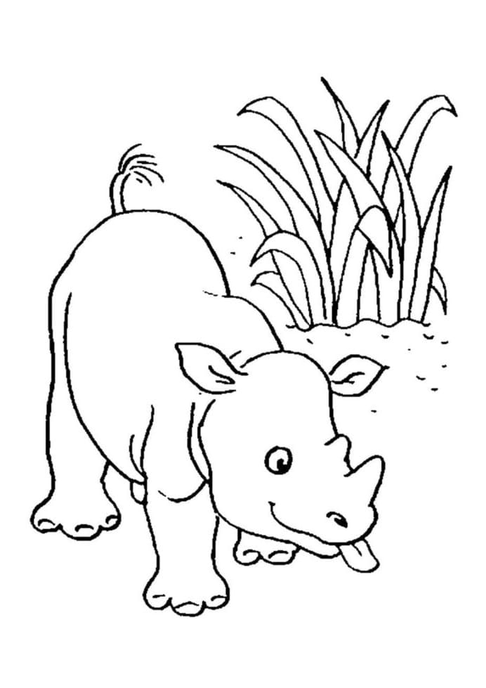 Adorable Rhino Coloring Page
