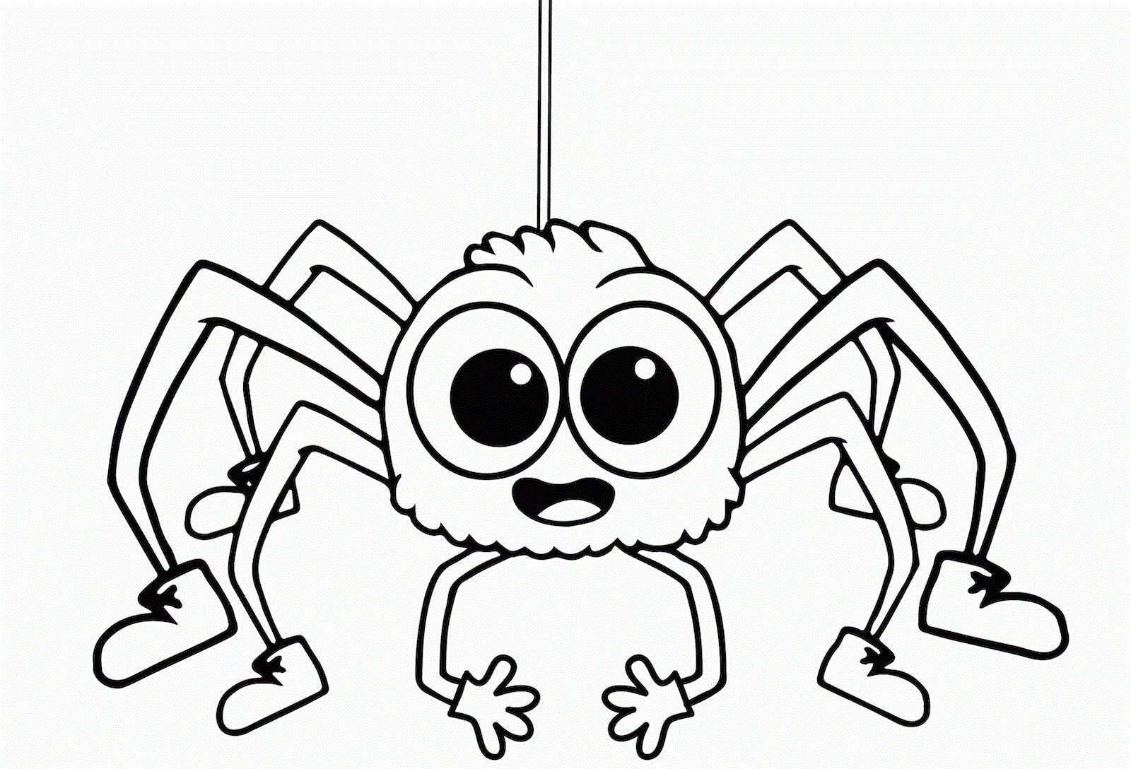 Adorable Spider