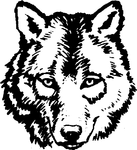 Adult Wolf Face Coloring Page