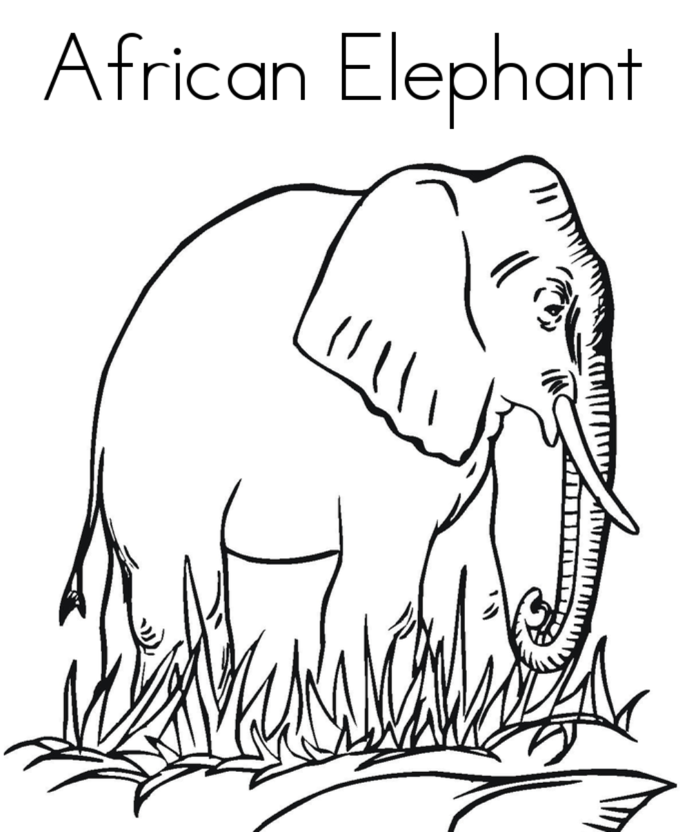 African Animal S Elephantb3c2 Coloring Page