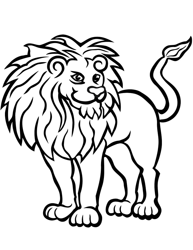 African Lion 1