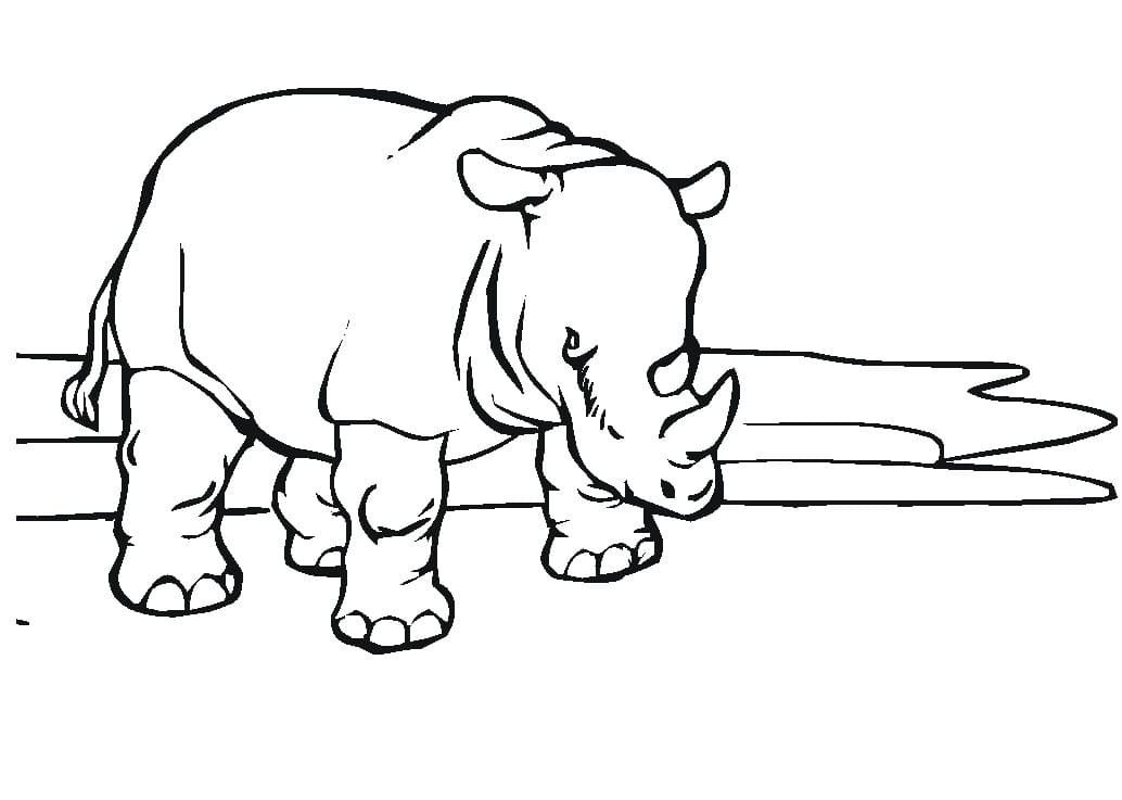 African Rhinoceros Coloring Page