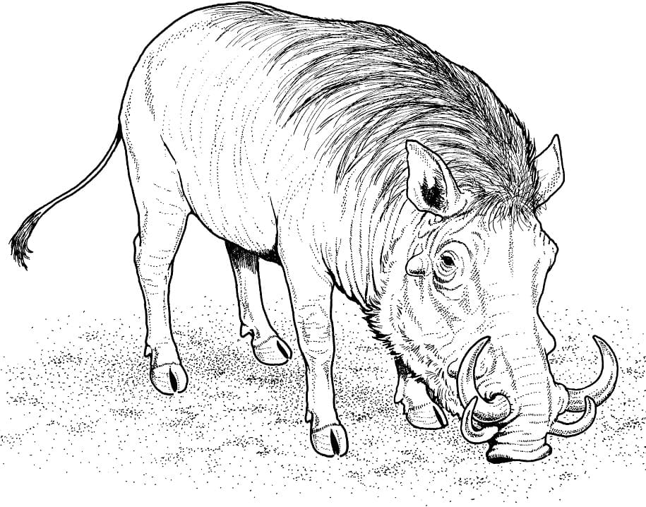 African Warthog Coloring Page