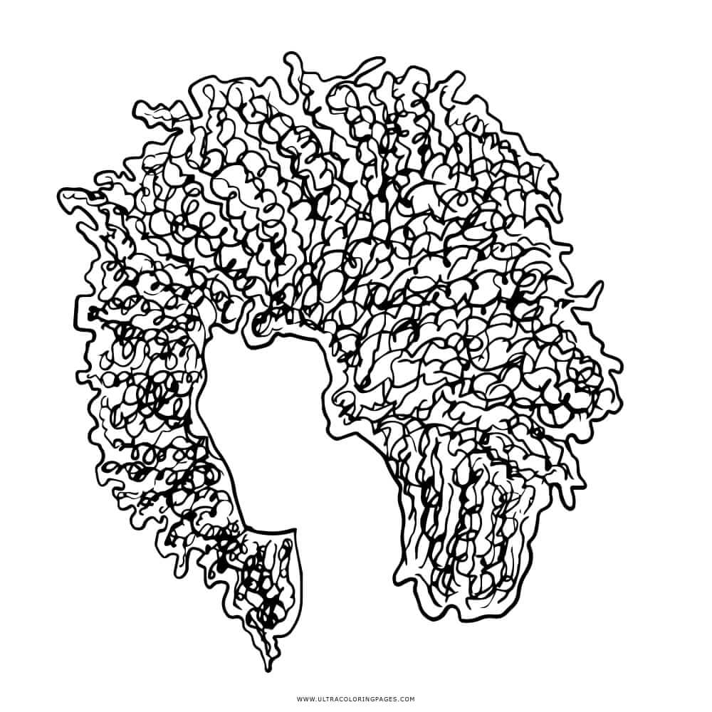 Afro Hair Coloring Page