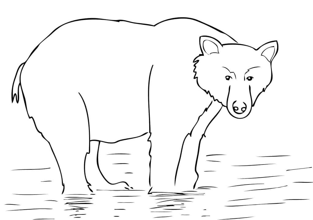 Alaska Brown Bear Coloring Page