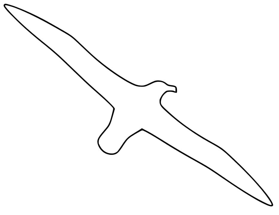 Albatross Outline