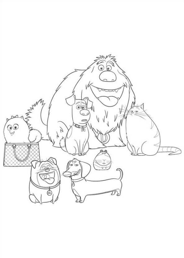 All The Family Secret Life Of Pets