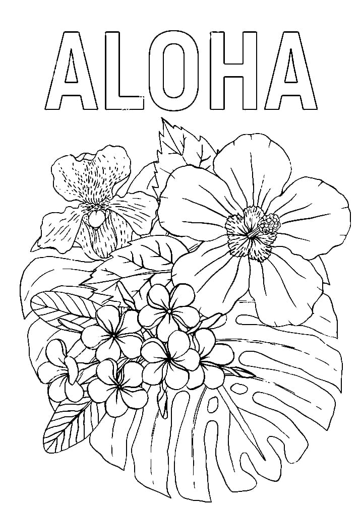 Aloha 1