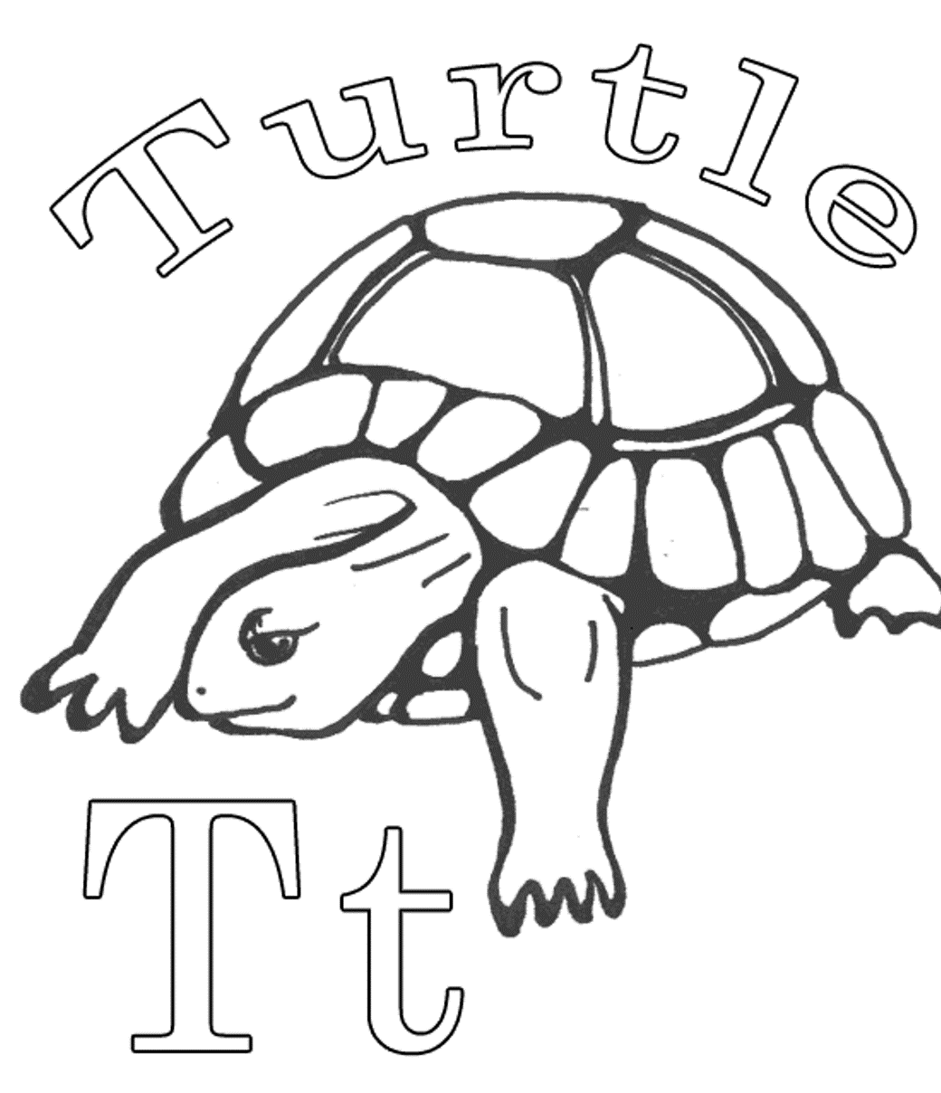 Alphabet  Turtle Animal97b5