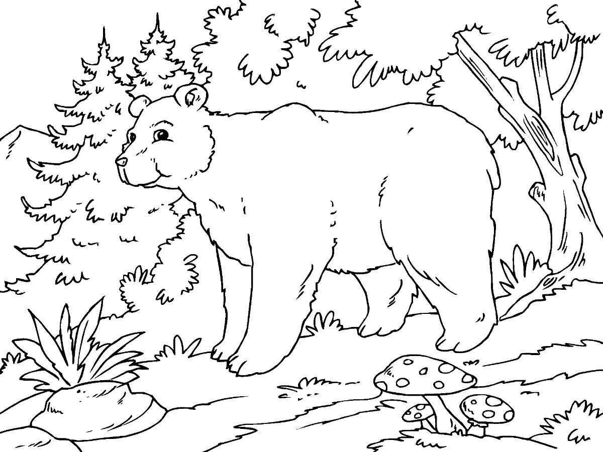 Alpine Bear Coloring Page