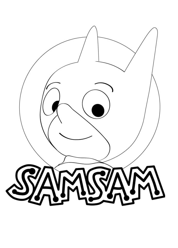 Amazing Sam Sam