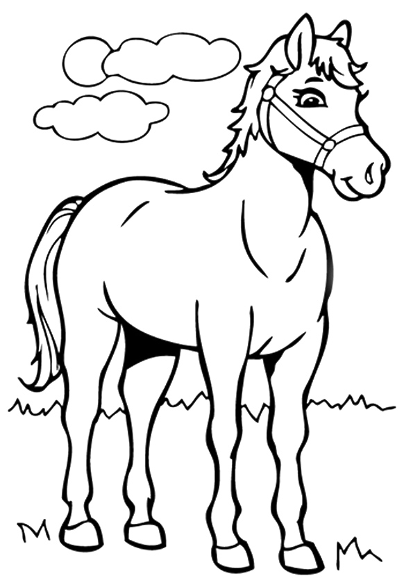 American Saddlebred Horse Coloring Page
