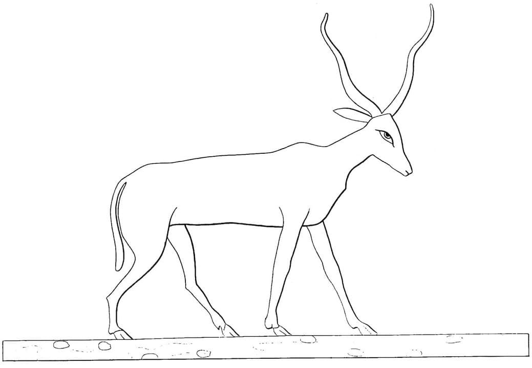 Ancient Egyptian Antelope Coloring Page