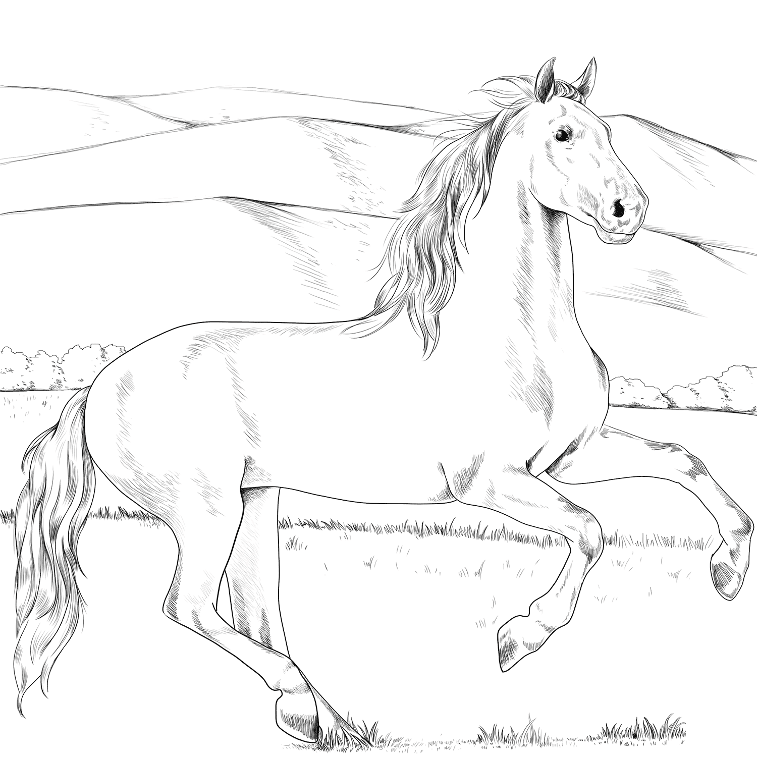 Andalusian Horse Coloring Page