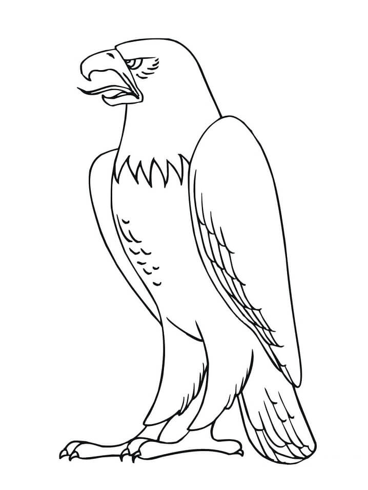 Angry Bald Eagle Coloring Page