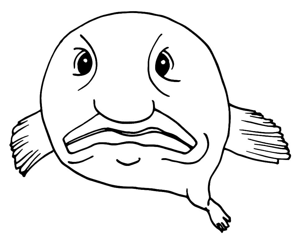 Angry Blobfish
