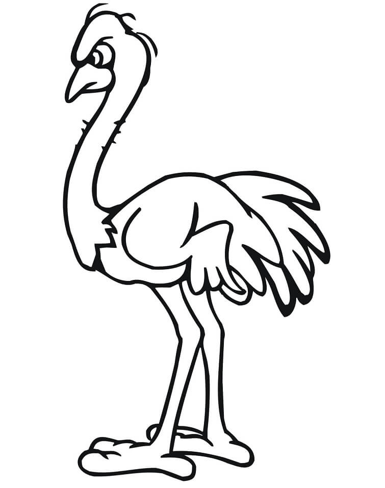 Angry Ostrich Coloring Page