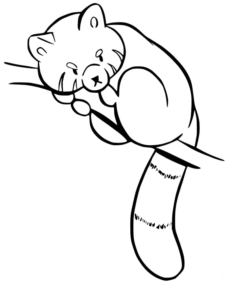 Angry Red Panda Coloring Page