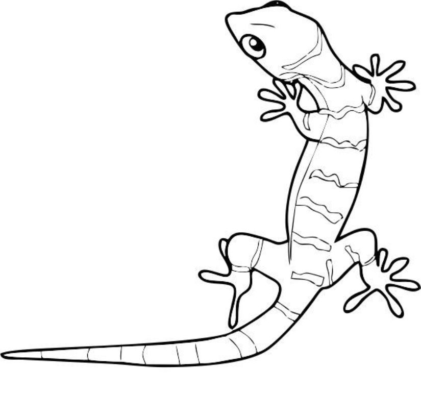 Animal Gecko S1e03 Coloring Page