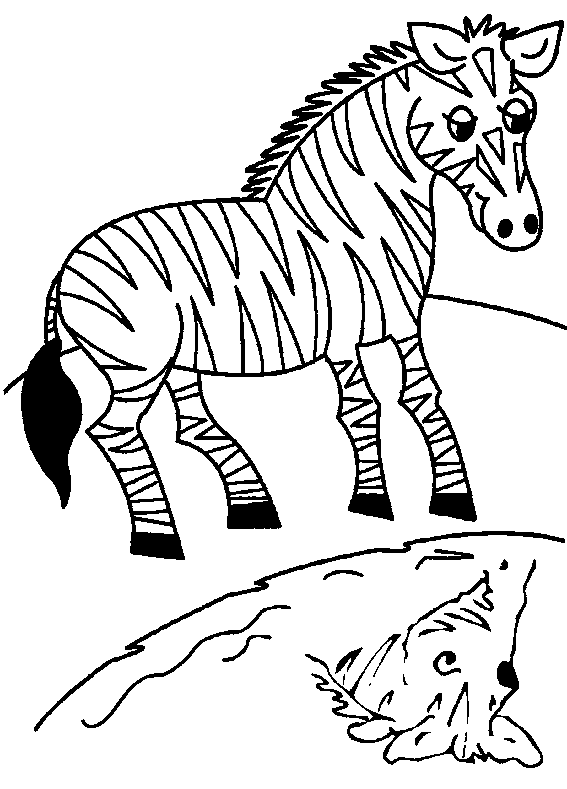 Animal Preschool S Zebra0bcb Coloring Page