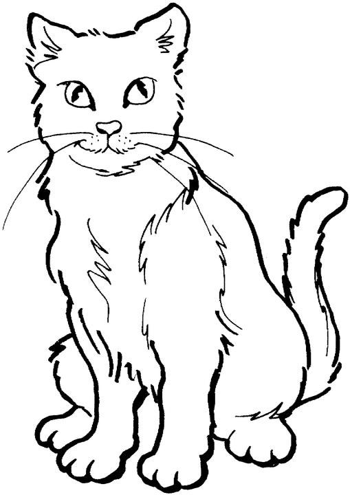 Animal S For Girls Cats5627 Coloring Page