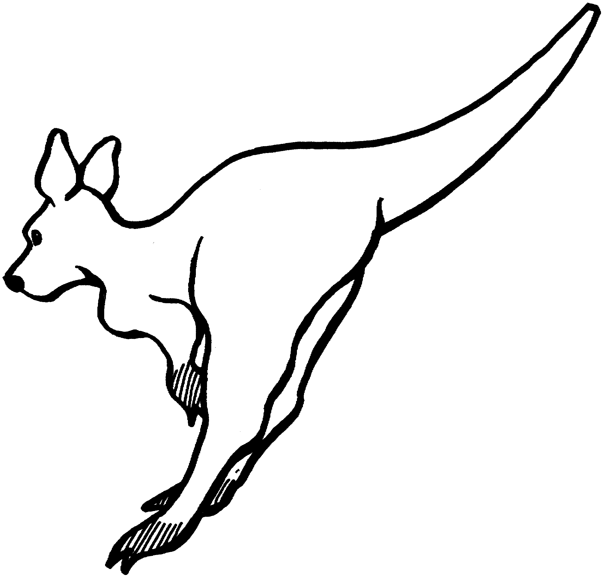 Animal S For Kids Kangaroo4753 Coloring Page