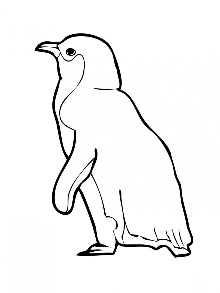 Animal S For Kids Penguin1f6f Coloring Page