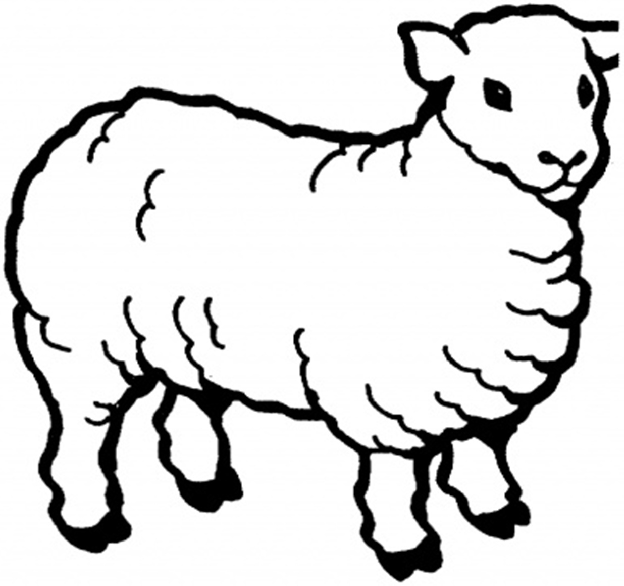 Animal Sheep B01d Coloring Page