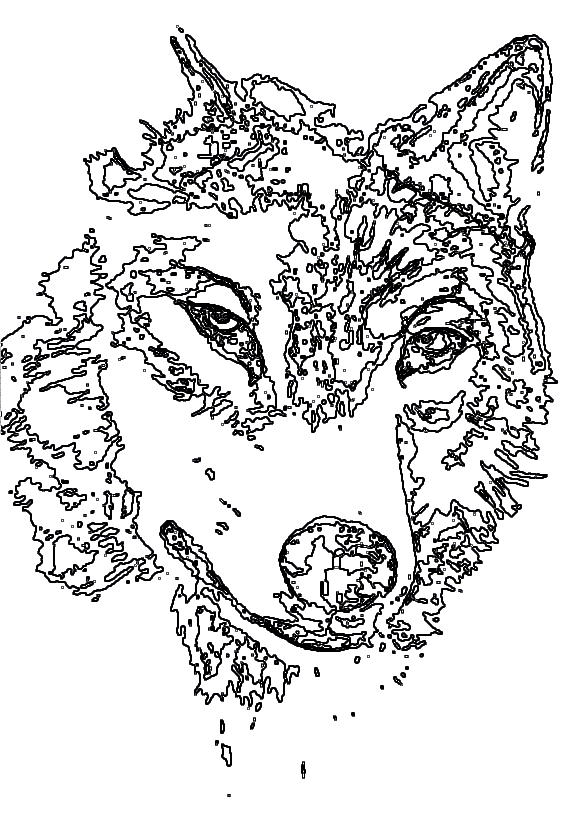 Animal Wolf Head Coloring Page