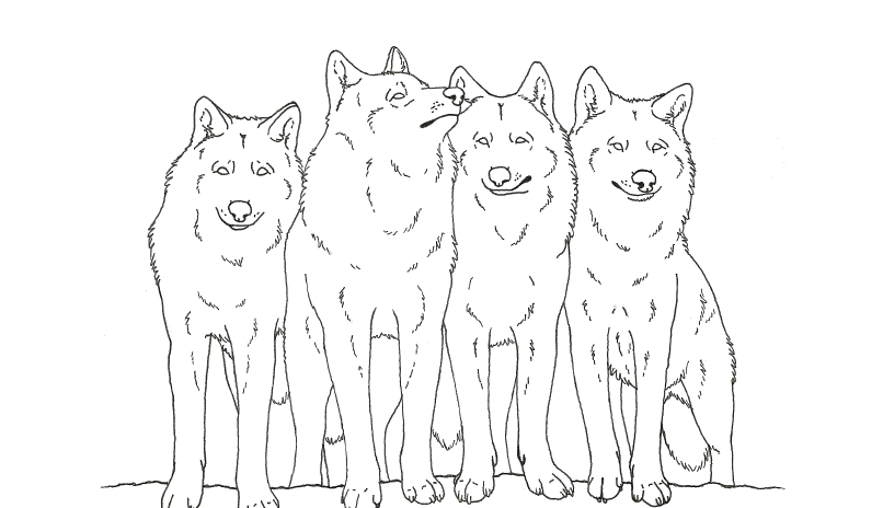Animal Wolf S Printable Coloring Page