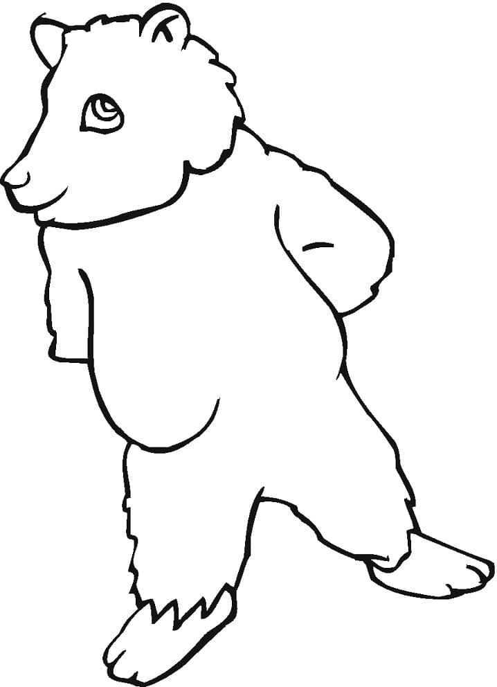 Animated Brown Bear