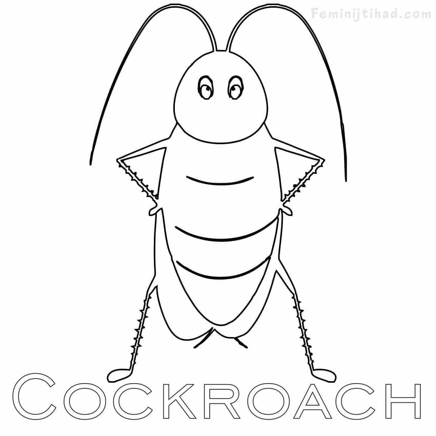 Animated Cockroach Coloring Page