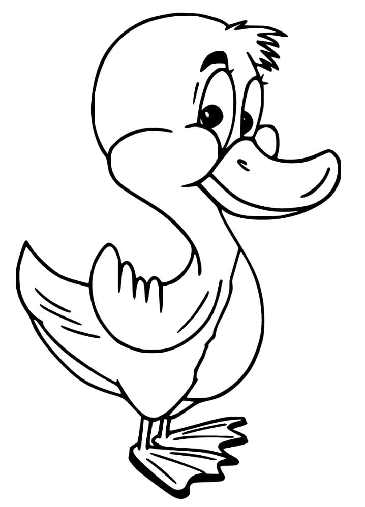 Animated Duckling