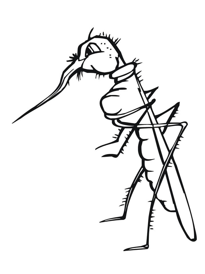 Animated Mosquito Coloring Page