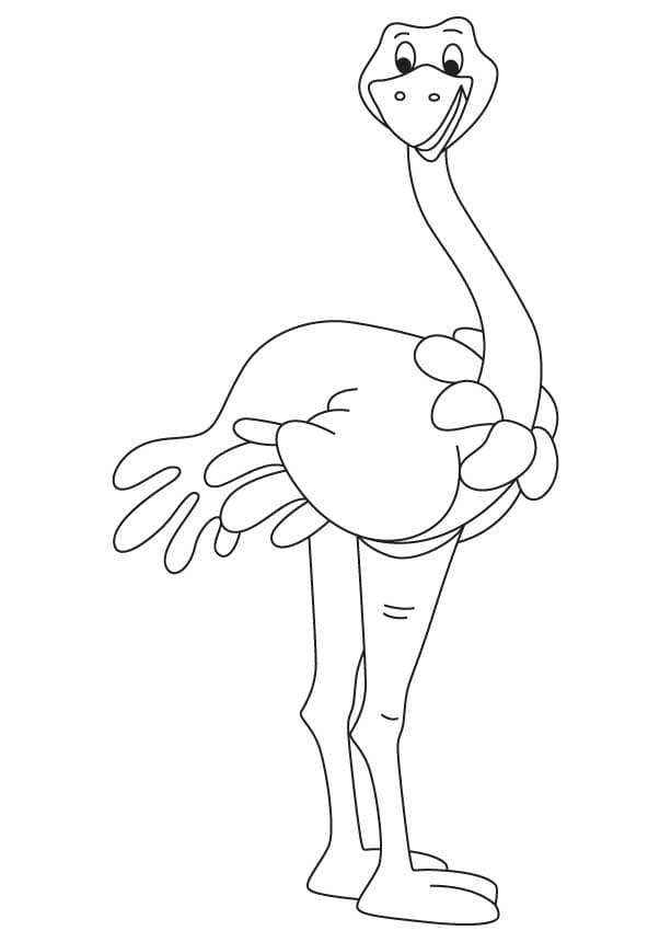 Animated Ostrich Coloring Page