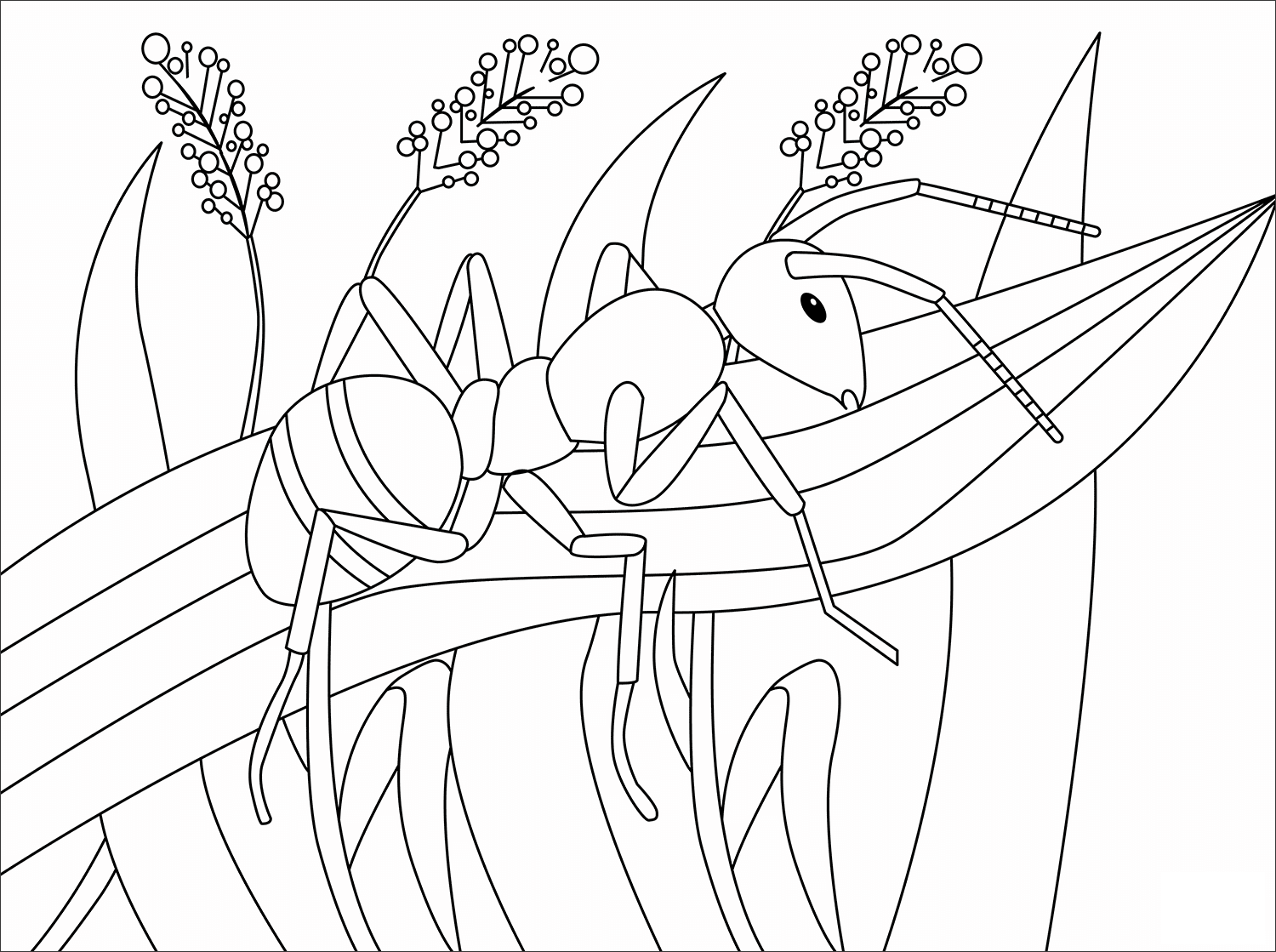 Ant Animal Simple Coloring Page