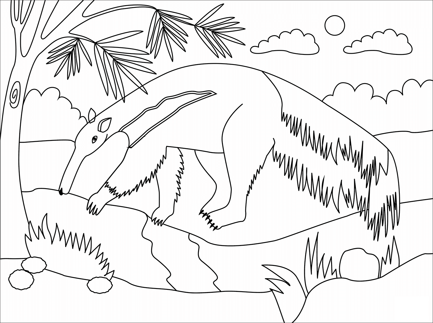 Anteater Animal Simple Coloring Page