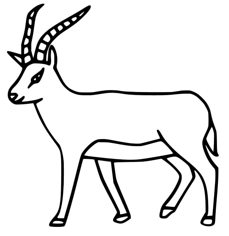 Antelope 2 Coloring Page