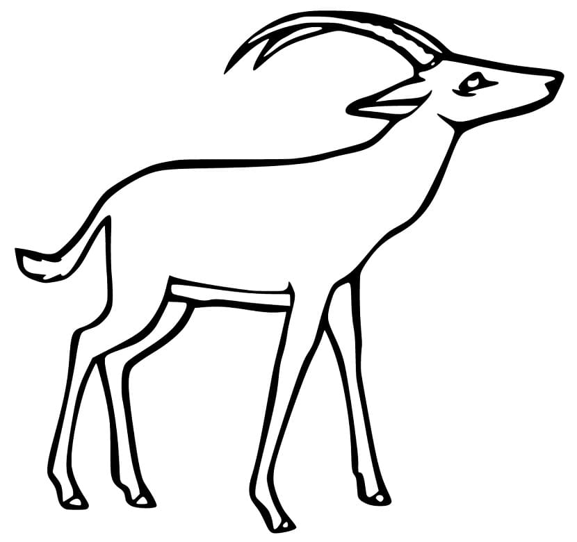 Antelope 3 Coloring Page